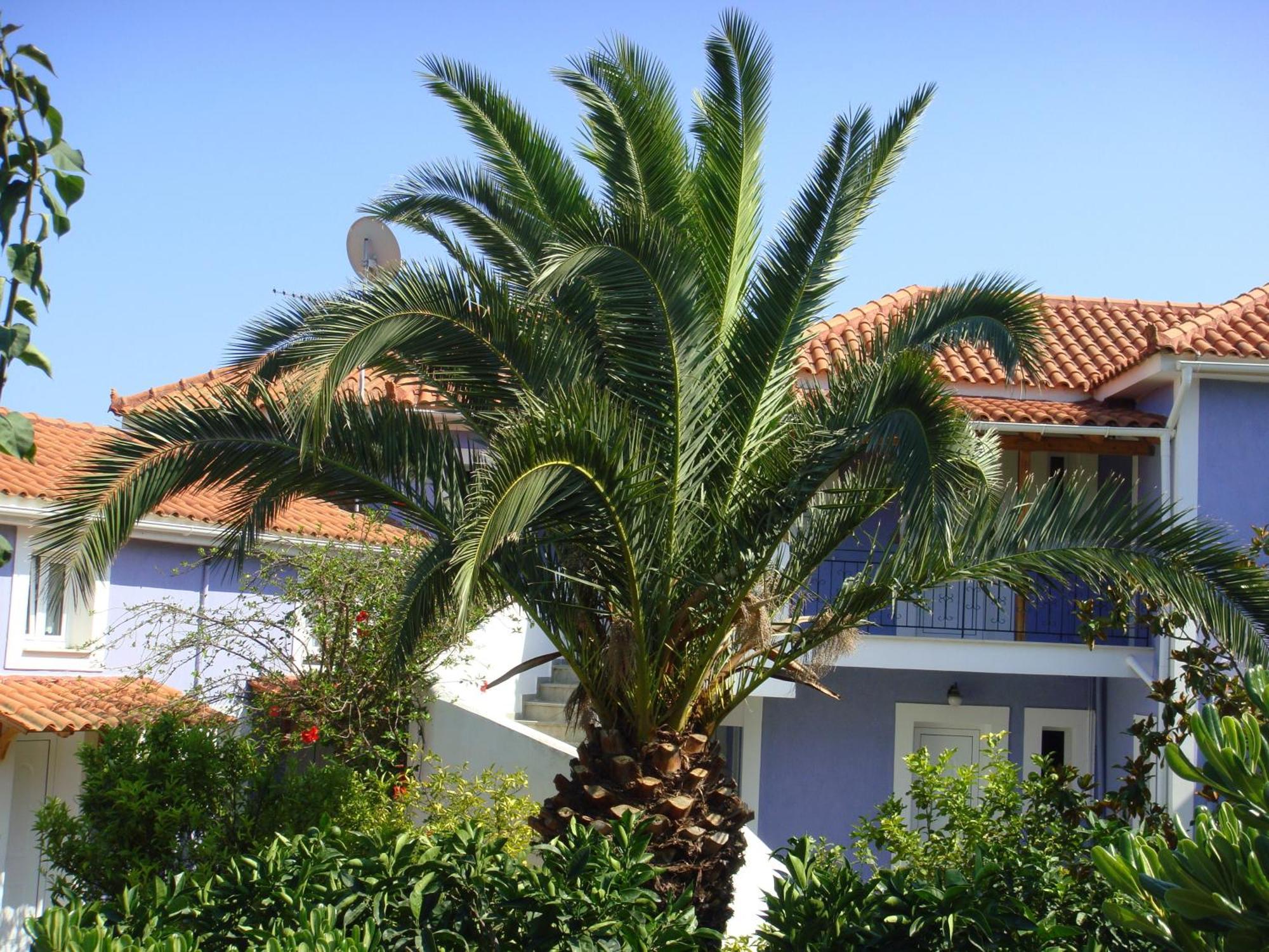 Villa Eliza Skala  Екстер'єр фото